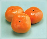 2003年11月の宮崎の旬は次郎柿です。
