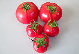 2015年5月の宮崎の旬はトマトです。
