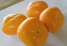 2018年10月の宮崎の旬は柿です。